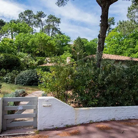 Pereire Les Pins Villa